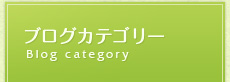 ブログカテゴリー