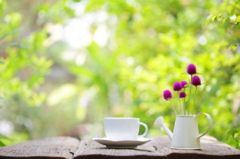 white coffee cup and  globe amaranth in mini water pot  at outdoor