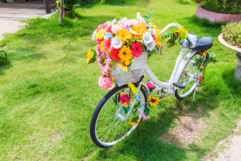 Flower on a bicycle as garden decoration